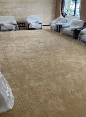 驼色卡其色接待室私人会所别墅客厅卧室书房纯色V羊毛人造丝地毯