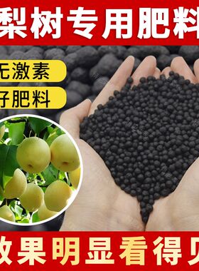 梨树专用肥料h农业果园室内盆栽颗粒肥梨树专用营养土水果专用肥