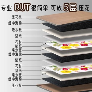 押花器压花板植物标本制作干燥板干花手工Jdiy工具材料相框压花器