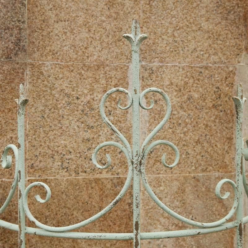 外单铁艺爬藤花架植物铁线莲攀爬阳台月季户外栅栏花园庭院支架*,鲜花速递/花卉仿真/绿植园艺,栅栏,淘宝优惠券,粉丝福利购,淘宝优惠卷