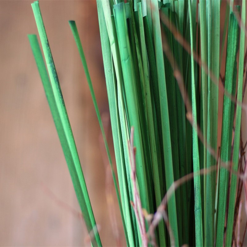 蒲叶植物酒店家居装饰水蜡烛叶z插花绿色水蒲棒叶蒲草干叶干水草