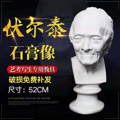 43CM 石膏教具 美术静物 石膏B像 伏尔泰 石膏头像 石膏几何体 举