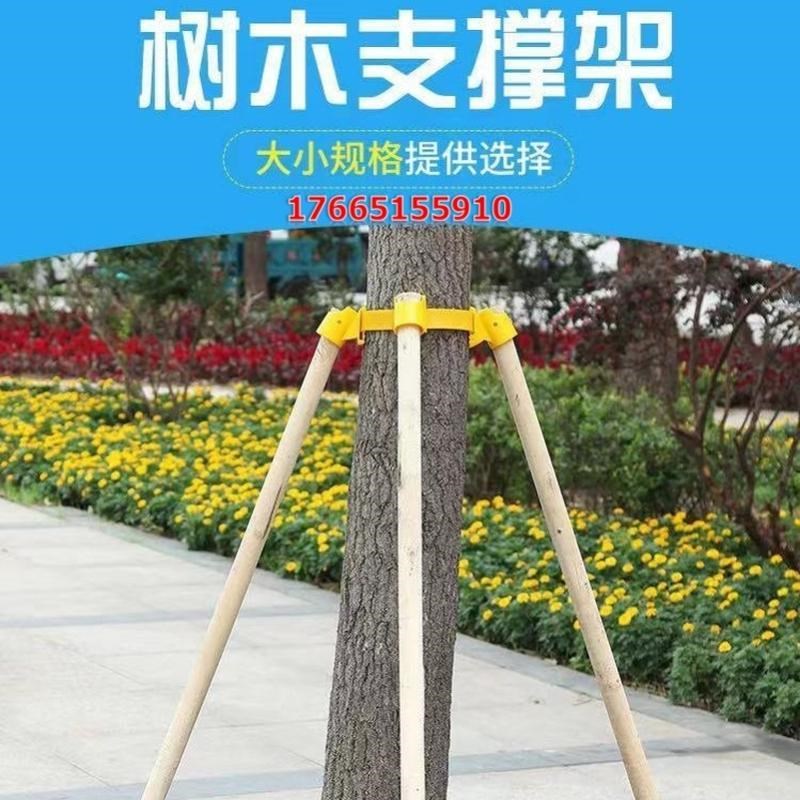 防风固定器套杯绑带树木圆木棍防倒支架稳定性园林绿化支撑杆大树