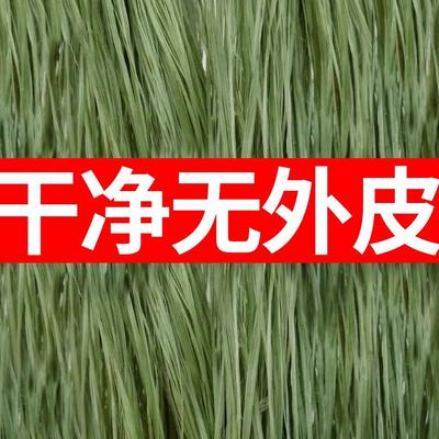 青麻天然苎麻丝水暖n麻丝管道密封编织材料麻线孝麻纳鞋底麻绳