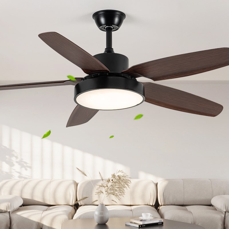 吊扇灯风扇灯2024新款风扇吊灯餐厅客厅卧室家用吸顶灯一体大尺寸