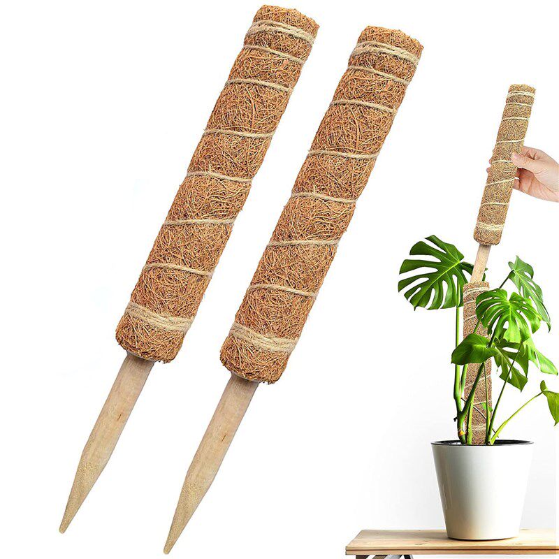 攀爬架椰棕植物柱棒龟背竹支撑爬藤花架椰丝缠绕棕榈柱杆可拼接
