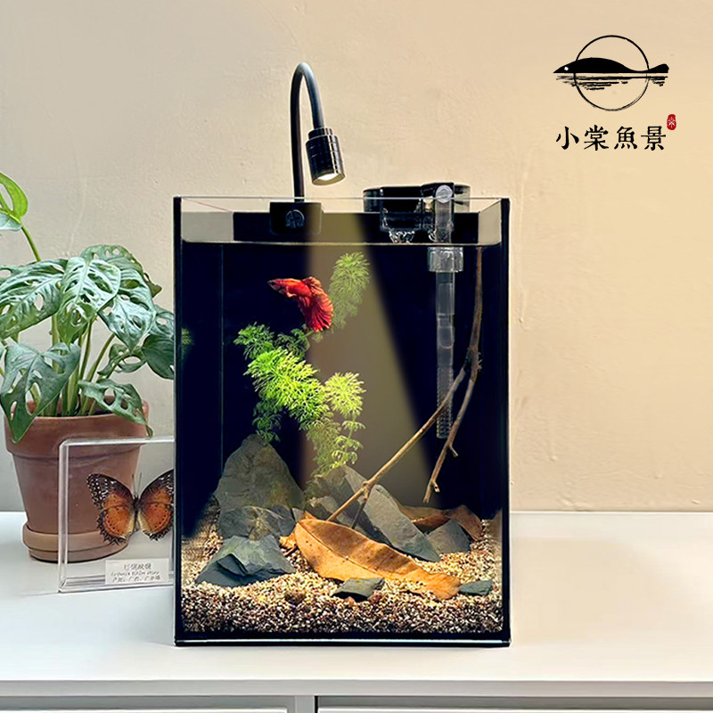 鱼缸小型家用客厅桌面南美雨林风日落懒仁叶造景超白玻璃斗鱼鱼缸