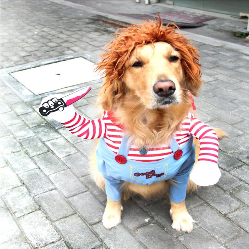 Pet Dog Funny Clothes Dogs Cosplay Costume Halloween Christ1
