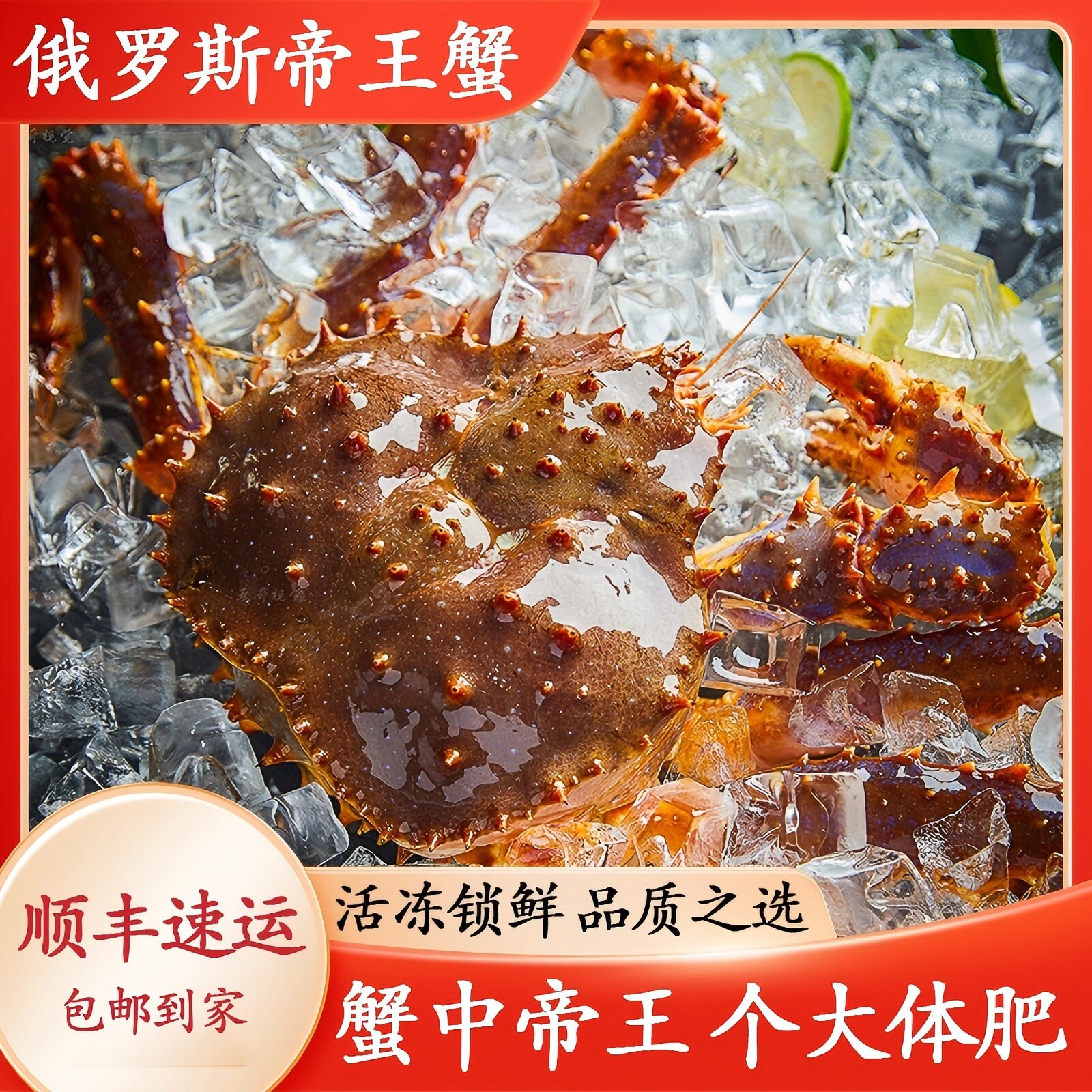 帝王蟹 鲜活速冻皇帝蟹超大螃蟹脚 俄罗斯进口活冻锁鲜 冷鲜
