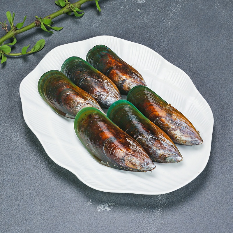 鲜活新西兰大青口贝死亡包赔