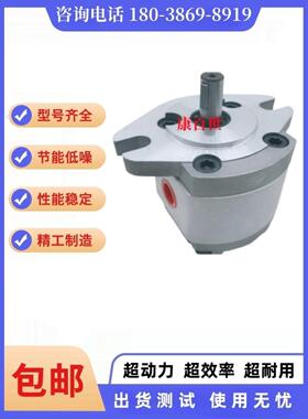 康百世P101RP01GT齿轮泵P102,P127,P135,P104,05,P106/7/9油泵