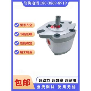 康百世P101RP01GT齿轮泵P102,P127,P135,P104,05,P106/7/9油泵