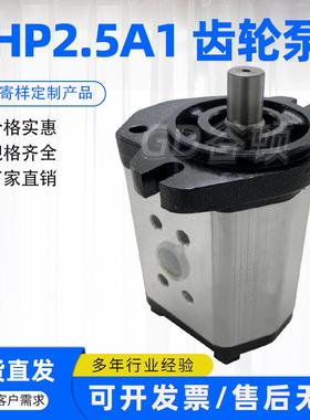 Boden齿轮泵BHP2.5A1D45C1F1/BHP2.5A1D40C1F1/BHP2.5A1D36C1F1泵