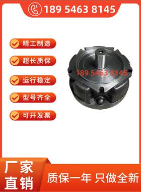 ZGS1-300I D481液压马达 1-300-1 /702484