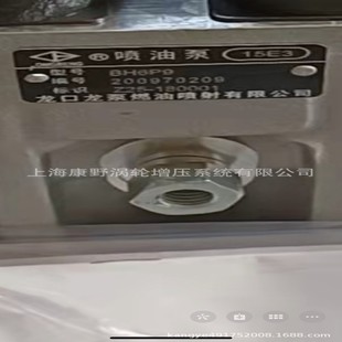 喷油泵15E3 2206 BH6P9 180001和 BHT6PZ140R2207E Z25 原装