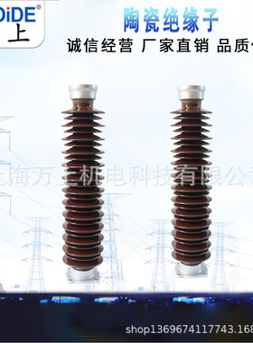 户外高压陶瓷支柱绝缘子ZSW-110-126KV/46810软母导线固定绝缘子