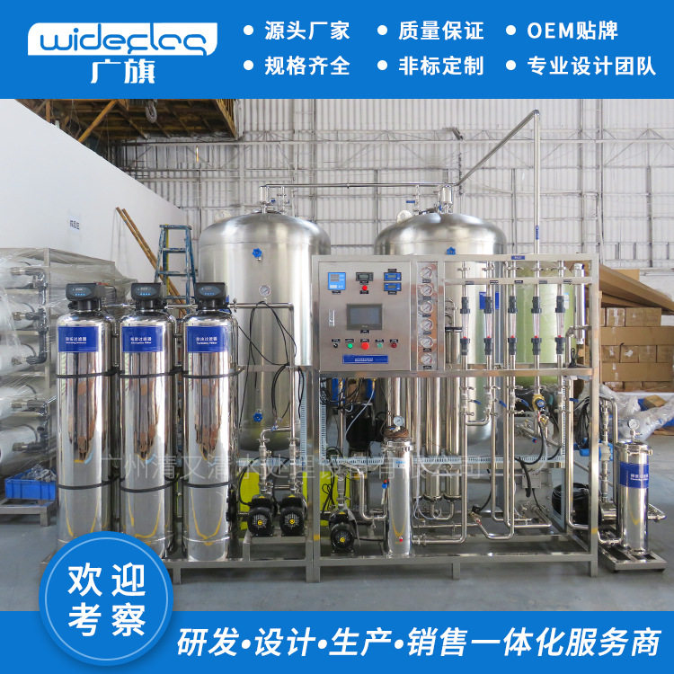 一级二级反渗透水处理设备商用超纯水器1吨每小时EDI超纯水超滤
