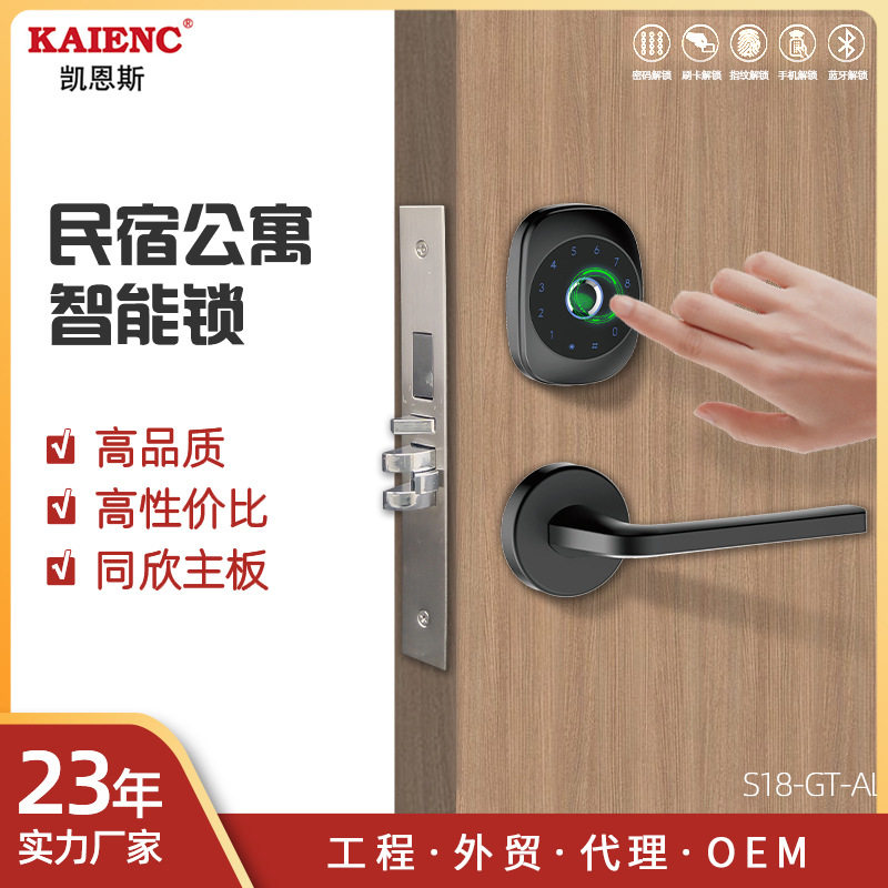 公寓工程三合一指纹密码智能锁