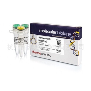 赛默飞 Scientifc ER1012 BpiI 10ul 促销 BbsI Thermo