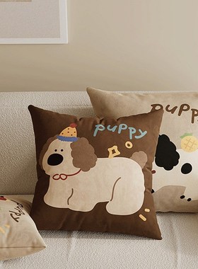 Cegier可爱抱枕家用客厅沙发卧室床头靠枕汽车办公室午休枕 桌症