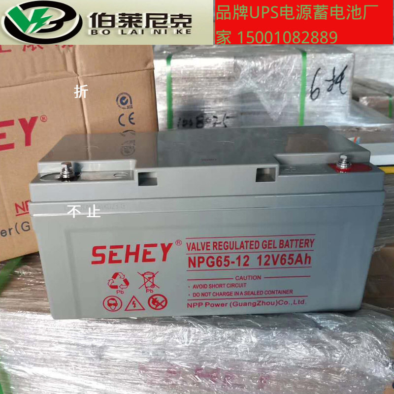 SEHEY西力蓄电池NP12-65 12V65AH光伏太阳能发电路灯照明电瓶