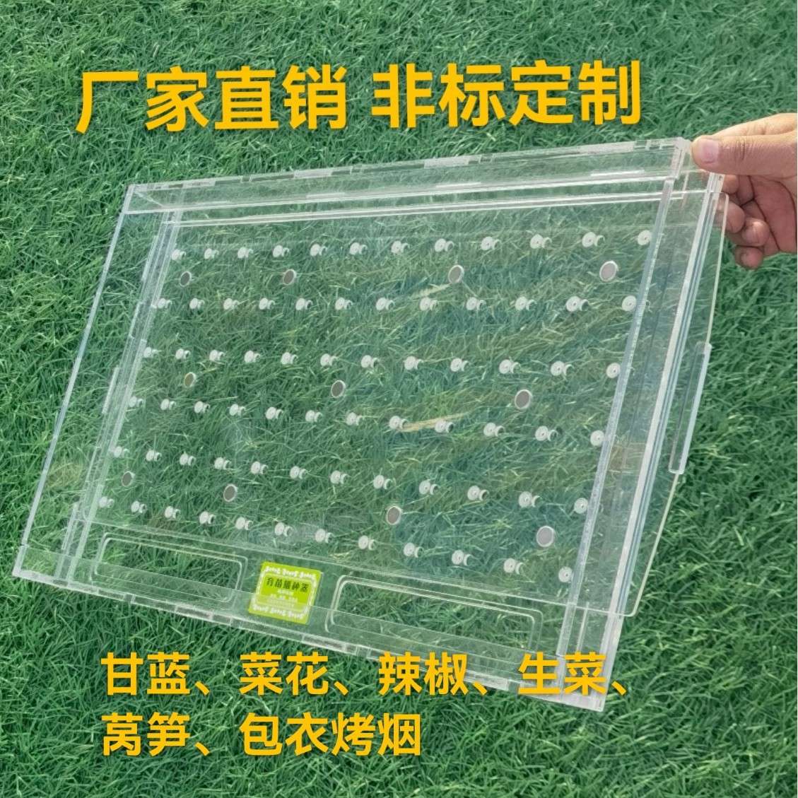 育苗盘播种器播种机穴盘播种器 漂浮盘播种器 播种神器播种机!