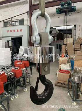 上海悬挂式电子磅OCS-40吨打印吊磅上海50吨悬挂式电子泵维修