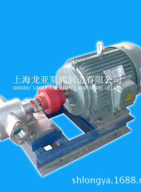 上海【龙亚泵业】 2CY4.2-25Pkcb-55不锈钢齿轮泵