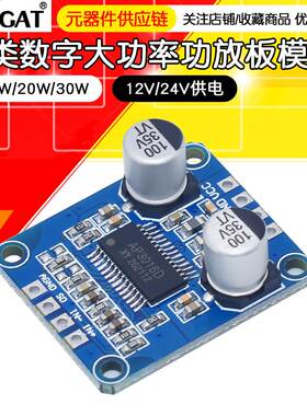 10W/20W/30W大功率功放模块D类数字功放板12V/24V供电DY-AP3001