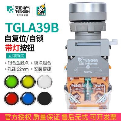 天正带灯按钮开关220V 24V 380V自复位22mm启动停止TGLA39B-11BND
