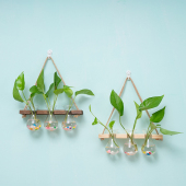 墙上花盆架麻绳挂墙花瓶室内壁挂水培植物容器办公室墙面装 饰玻璃