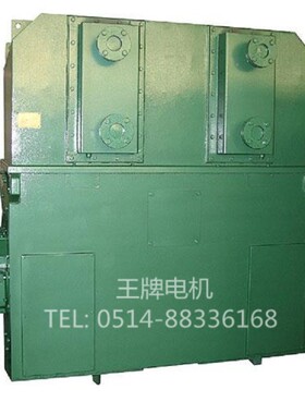高压电机YKS5002-6 800KW 6KV