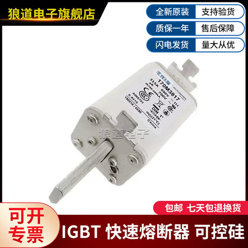 EATON巴斯曼低压熔断器170M3817 170M3818 170M3819