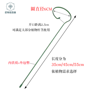 植物防倒伏支架铁艺绣球吊兰支伸缩杆园艺固定架爬藤花卉朱顶红花