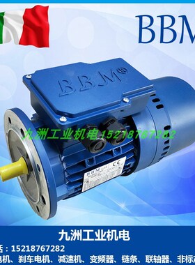 BBM刹车电机REBM63B4 71B4 80B4 90L4 100LA4 112M4 132MA4抱闸电