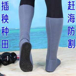 海鞋 袜子秧插袜专用插潜水袜田栽秧秧水靴水下田稻田水鞋 水农田赶