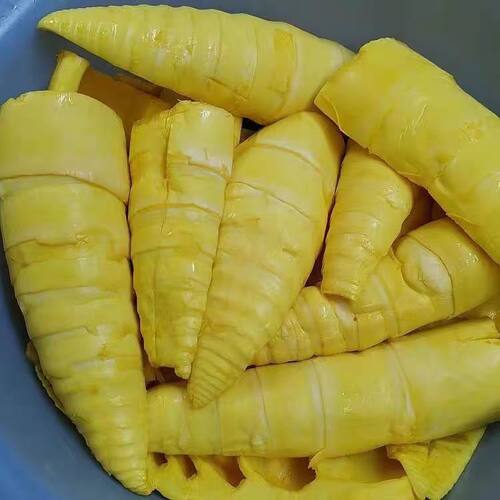 云南特产新鲜现挖竹笋尖