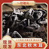 一把锄头！东北黑木耳100g