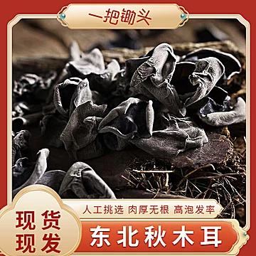 东北正宗黑木耳干货250g秋木耳碗耳肉