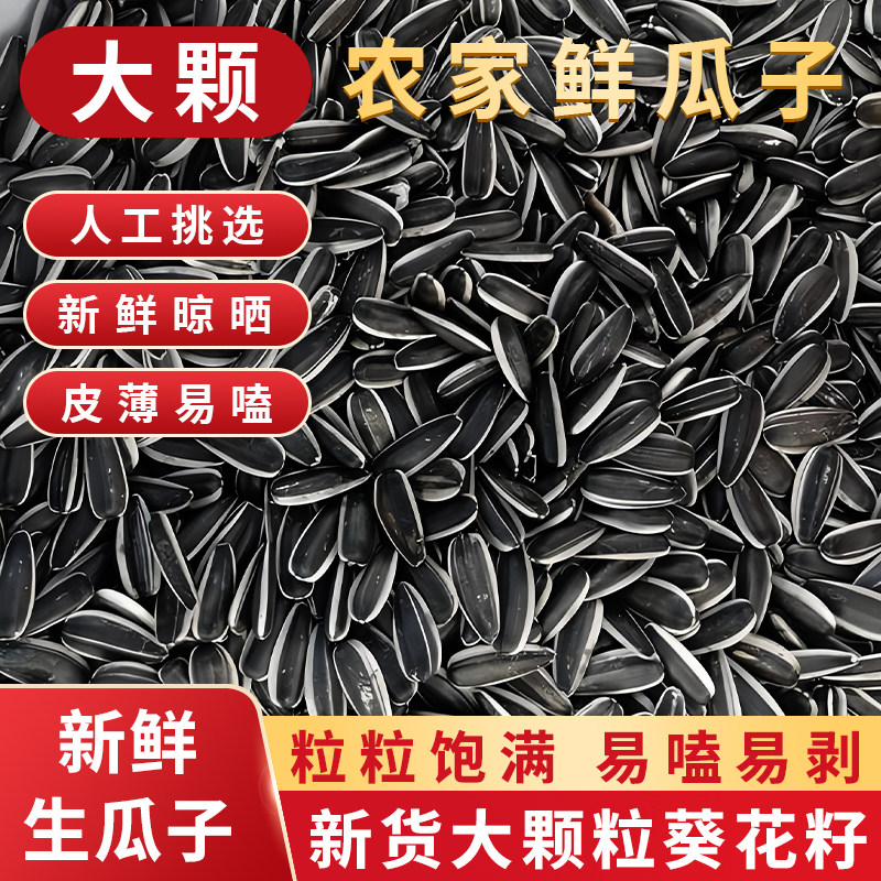 一把锄头优质生瓜子内蒙古363大葵瓜子颗粒饱满休闲零食坚果炒货