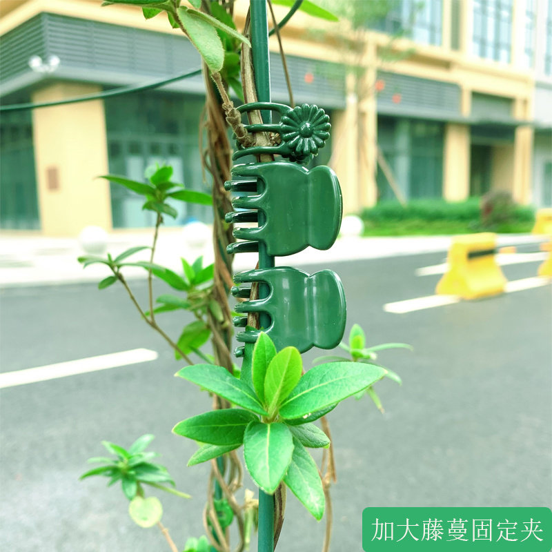金钱树蝴蝶兰花枝造型固定夹包邮园艺花卉藤蔓支撑装饰夹