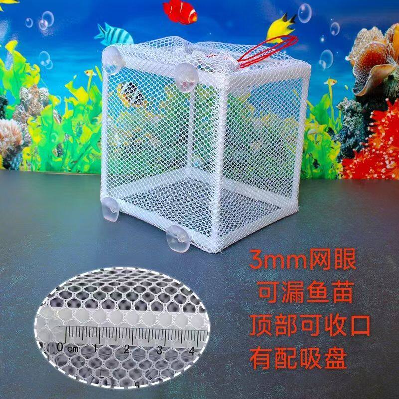 鱼缸隔离网专用细密不伤鱼隔离鱼苗病鱼斗鱼缸分隔防打架防误食
