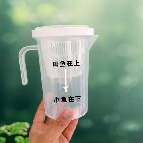 桌面隔离盒外挂量杯产房生小鱼孔雀鱼缸外单独立式繁殖罐隔离杯