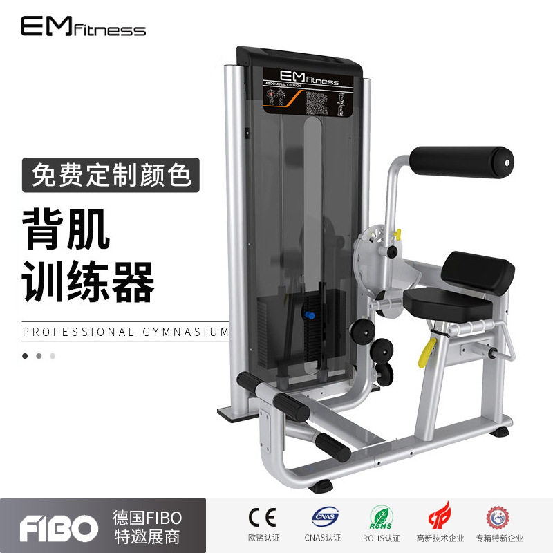 ZYZ背肌训练器健身房商用坐式背部伸展训练器背部拉伸肌肉训练器