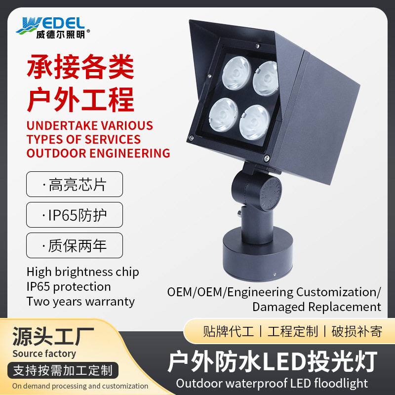 户外防水LED投光灯插地灯桥梁园林草坪亮化室外七彩公园庭院草坪