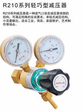 丙烷天然气LPG减压器 R210F-40 上海敦阳黄铜减压阀 量程4/0.4Mpa