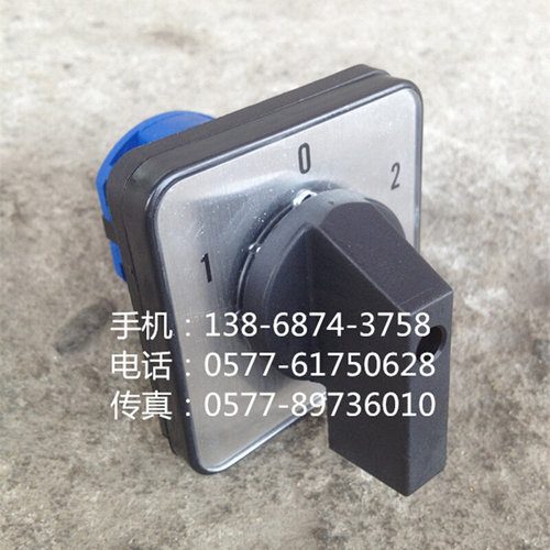 万能转换开关 LW39-16A-40B-202/2 银点 LW39A-16D202/2