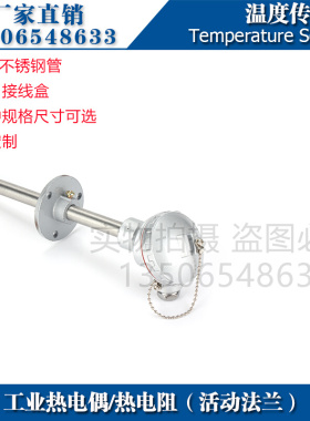 西崎热电偶WZP-321 WZP-331热电阻PT100铂电阻温度传感器活动法兰