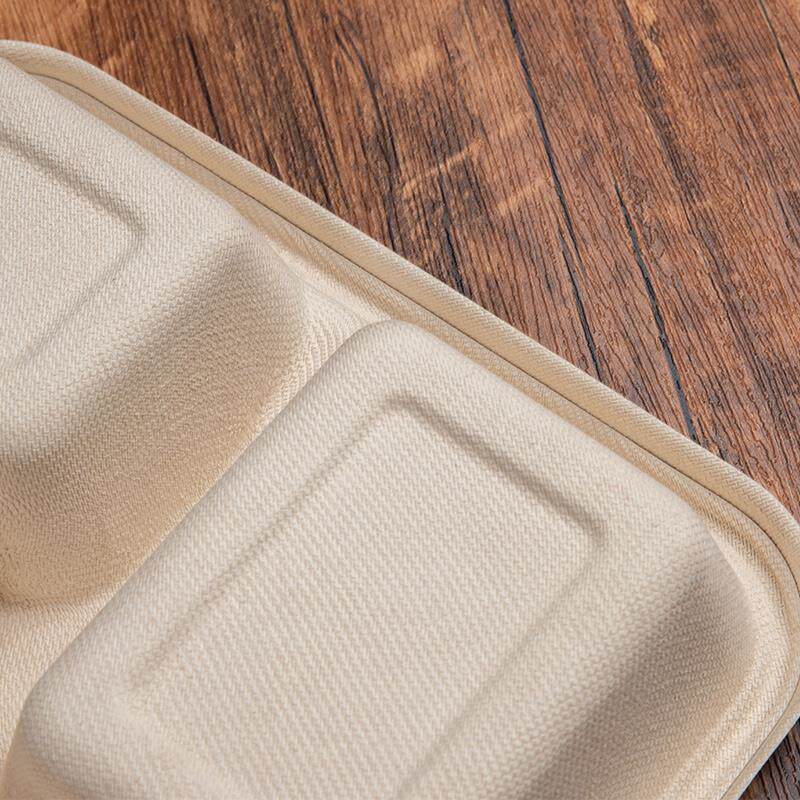 甘蔗纸浆可降解长方形四格五格一次性外卖打包餐盒沙拉便当盒