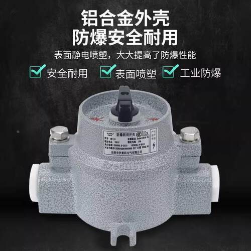SW-10铝合金防爆照明开关防水防尘控制按钮开关防爆开关10A 220V